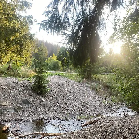 Harzgemuetlichkeit Fuer 2 Personen Und Haustier - Altenau! Altenau  Extérieur photo