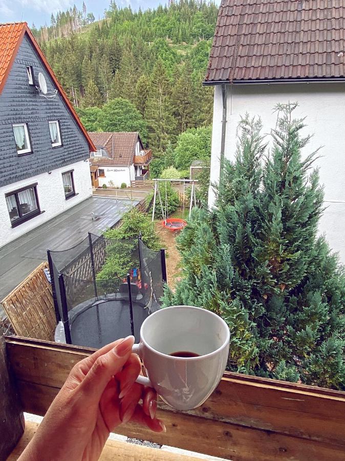 Harzgemuetlichkeit Fuer 2 Personen Und Haustier - Altenau! Apartment